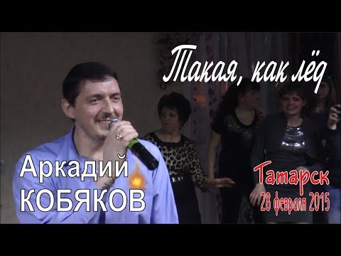 Видео: Аркадий КОБЯКОВ - Такая, как лёд (Татарск, 28.02.2015)