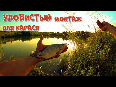 Видео: КАРАСЬ на ФИДЕР. УЛОВИСТЫЙ монтаж для карася. Рыбалка на карася и карпа