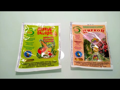 Видео: ЭПИН и ЦИРКОН использую 20 лет. ВАЖНЫЕ нюансы применения!!!