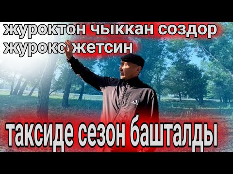 Видео: Яндекс такси Бишкек/ таксопарк АШКЕ/ таксиде сезон башталды