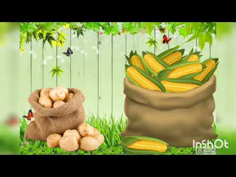 Видео: Розвиток мовлення (ранній вік).  СЕЛО.  ГОРОД. ГОРОДИНА.