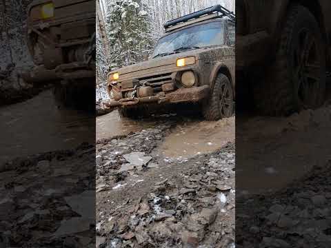 Видео: #нива #мощьсила #приключения