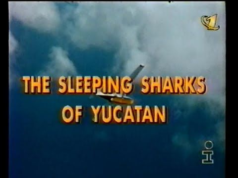 Видео: Інтер, 1999 рік. Подводная одиссея команды Кусто - Спящие акулы Юкатана (ОРТ)