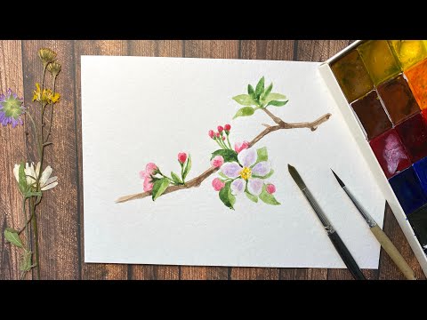 Видео: Рисуем цветущую веточку яблони акварелью. Акварель для начинающих