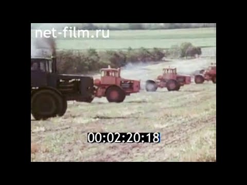 Видео: 1975г. совхоз Гигант Сальский район Ростовская обл.