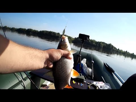 Видео: Москва река, Воскресенск, Спиннинг, рыбалка с лодки, Голавль