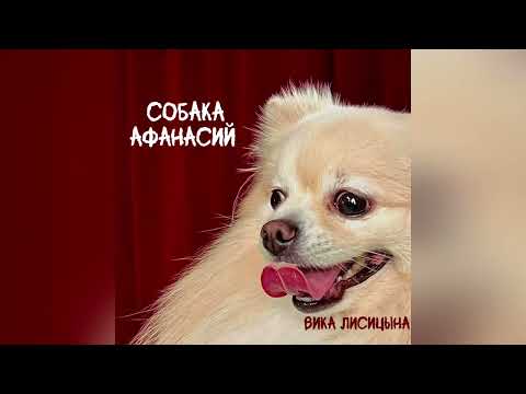 Видео: Вика Лисицына - Собака Афанасий