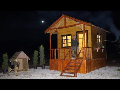 Видео: Зимний лагерь в деревянном доме / Изготовление собачьей конуры / Практическое изготовление стола