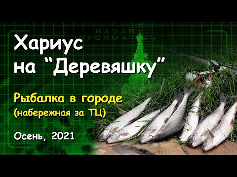Видео: Хариус на "Деревяшку". Рыбалка в городе (набережная за ТЦ). Осень, 2021.