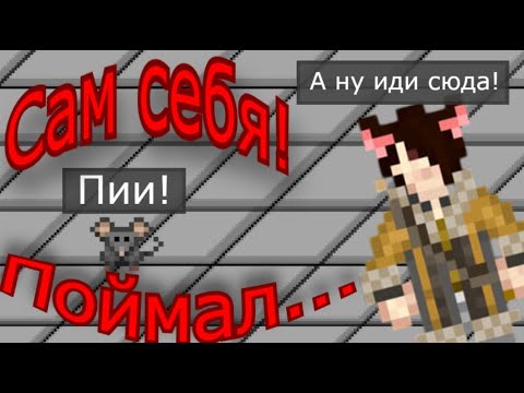 Видео: нарезка двух смен Нучи Агрун