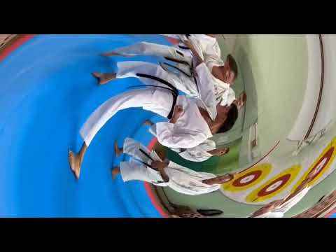 Видео: А, ❓️ чему нужно учить в каратэ..