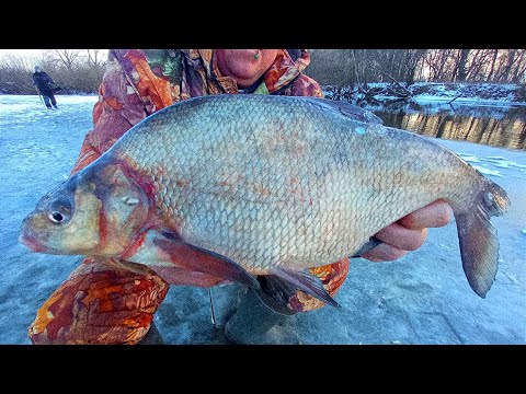 Видео: ЗАТОКА КИШИТЬ КРУПНОЙ РИБОЙ! Зимова рибалка на ляща