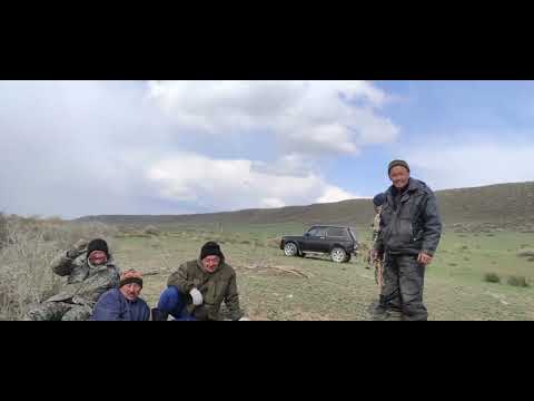 Видео: Тарбағатай..Асар.Қара тоғам.