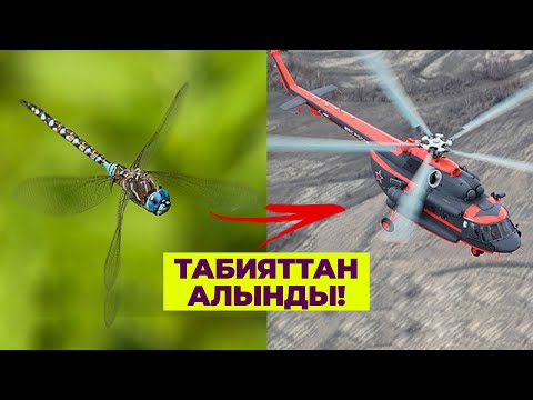 Видео: Шок! Табияттан алындыбы?