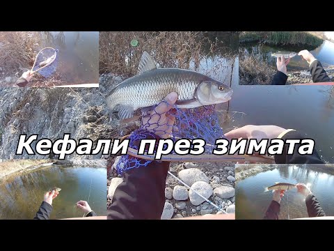 Видео: Зимни кефали по реката