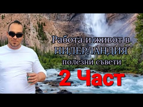 Видео: Работа и живот в Нидерландия 2 Част
