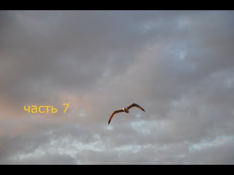 Видео: часть 7 путешествие Байкал горячие источники увидели Байкал с птичьего полёта проехали иркутск.