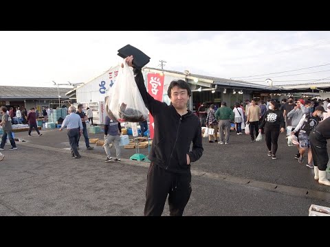 Видео: [Рыбы для азартных игр с высокими ставками] были со скидкой, поэтому я купил их!