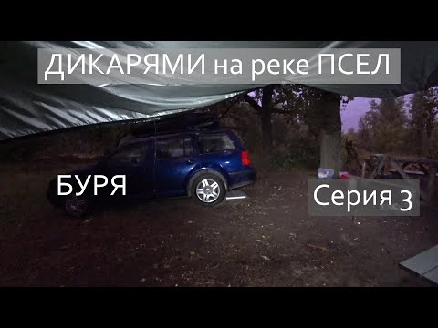 Видео: ДИКАРЯМИ на реке ПСЕЛ / Эпизод 3