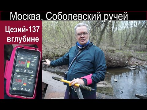 Видео: Соболевский ручей - реакторный цезий-137 в грунте на берегу