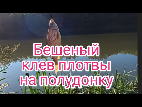 Видео: Рыбалка на полудонку . Рыбалка на поплавок . Рыбалка . В поисках рыбных мест . Рыбалка 2022 . Плотва