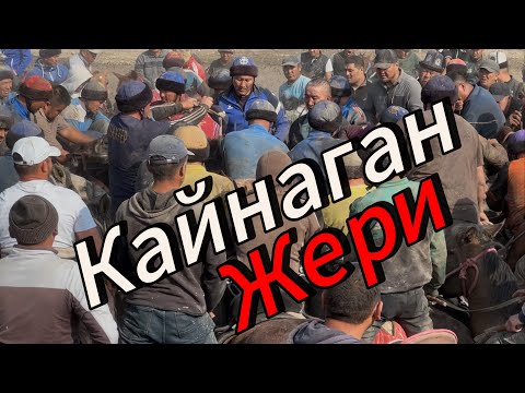Видео: Ноокен улактын Кайнаган жери 20 октября 2025 г.
