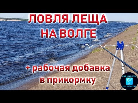 Видео: Ловля леща на фидер.Рыбалка на фидер 2019.река Волга