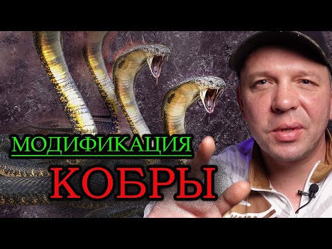 Видео: Клапан нижней загрузки для кобры. / Быстро кормим рыбу /