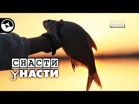 Видео: Карась и лещ на фидер | Снасти у Насти