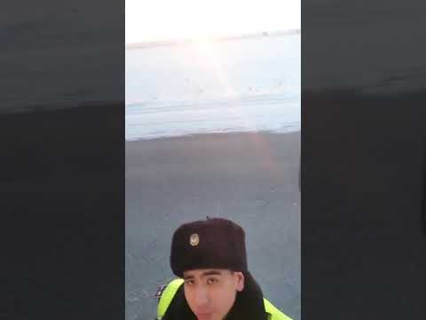 Видео: САМЫЙ ФЕЕРИЧНЫЙ ДУРЕНЬ ПОЛИЦИИ СЕМЕЯ. ОСА ГАИ ДПС