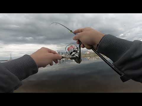 Видео: Тест Evergreen Superior Solid Tip SPRS-56XUL-S Twiggy.