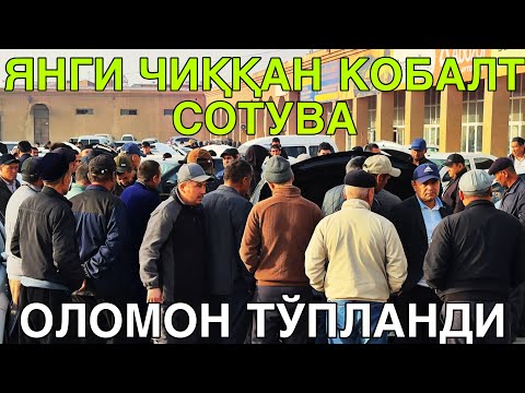 Видео: ЯНГИ ЧИККАН COBALT СОТУВДА! КАРШИ МАШИНА БОЗОРИ НАРХЛАРИ!2 НОЯБРЬ  2025 QARSHI MOSHINA BOZORI  