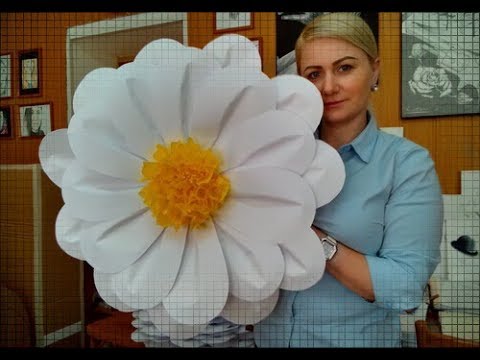 Видео: DIY ГИГАНТСКАЯ  РОМАШКА из БУМАГИ/GIANT CAMOMILE OF PAPER