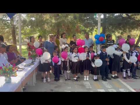 Видео: 7 сентября 2025 г.