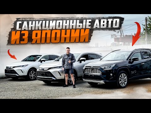 Видео: САНКЦИОННЫЕ АВТО. Август 2024🇯🇵