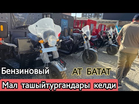 Видео: Жаңы партия КҮЧТҮҮЛӨРҮ КЕЛДИ 28.04.24 🏍🛵апреля 2025 г.