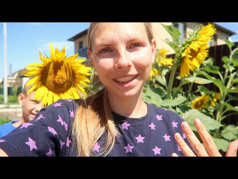 Видео: vlog ☀️ ПОТЕРЯЛ САМОКАТ / КАБАЧКОВЫЕ ВАФЛИ / ПОДГОТОВКА КО ДНЮ РОЖДЕНИЯ / ТОРТЫ, ШАРИКИ