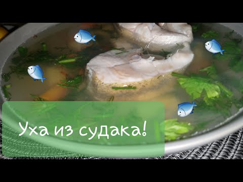 Видео: Уха из судака по-домашнему.