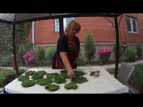 Видео: ВИНОГРАДНЫЕ ЛИСТЬЯ, 5 вариантов заготовки листьев.