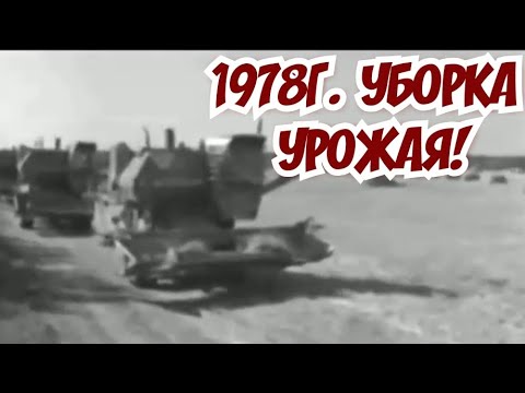 Видео: ХРОНИКА СССР!!1978г  Саратовская обл  уборка урожая