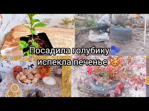 Видео: Осенние хлопаты 🌿🍁🍂