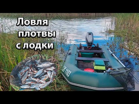 Видео: Ловля с лодки на поплавочную удочку. Осеняя ловля плотвы