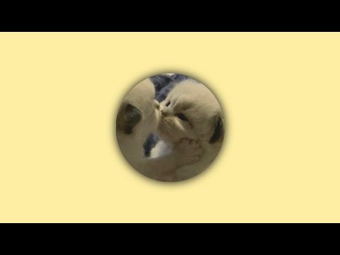 Видео: мари краймбрери - давай навсегда (speed up)