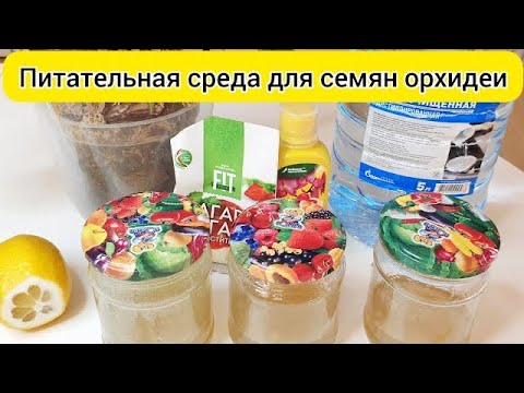 Видео: №3 Питательная среда для семян орхидей