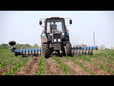 Видео: Ротационная борона БР-6 Мотыга
