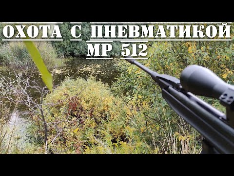 Видео: Первая охота с пневматикой 4 5 мм МР 512 на утку видео 2022 #мр512 #охотаспневматикой