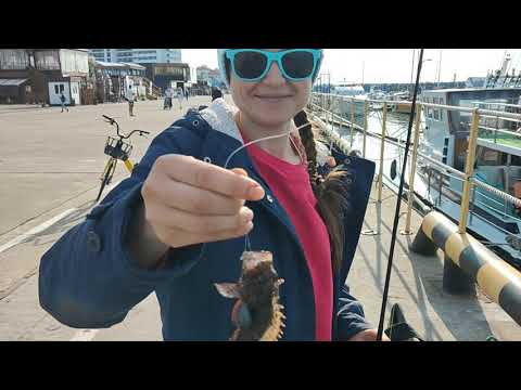 Видео: 31.10.2k21. Адлер. Сочи. Рыбалка в Имеретинском порту ..