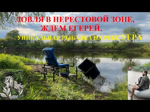 Видео: ЛОВЛЯ В НЕРЕСТОВОЙ ЗОНЕ, ЖДЕМ ЕГЕРЕЙ. УНИКАЛЬНАЯ РЫБАЛКА НА РЕКЕ УГРА.