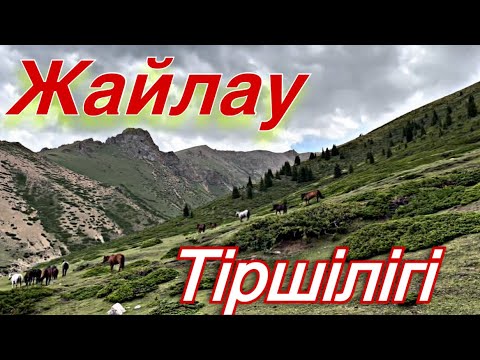 Видео: Жайлау көктеді. 2023 жаз айлары, күйбең тіршілік!