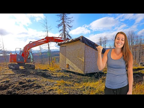 Видео: День переезда (для цыплят)